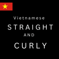 VIET VENDOR (ONE VENDOR)