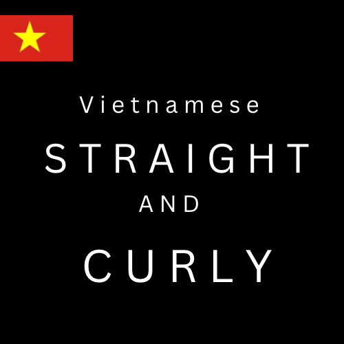 VIET VENDOR (ONE VENDOR)